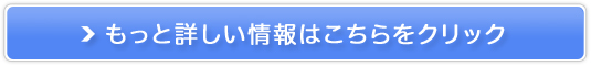 Wj[YObY̍yJani King(WjLO)z̔TCg